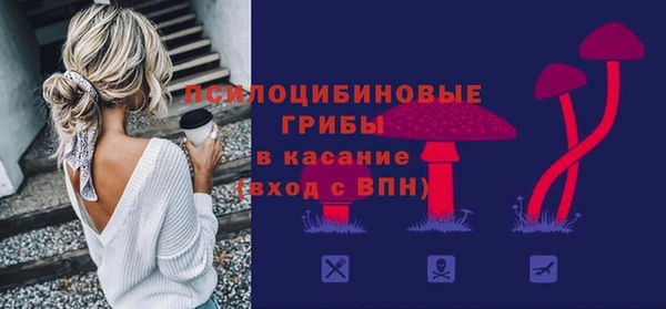 гидра Инсар