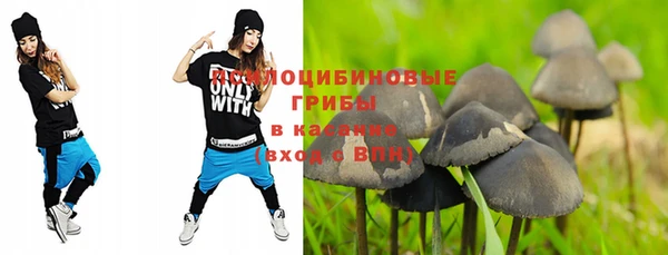 гидра Инсар