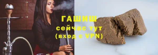 СК Инта