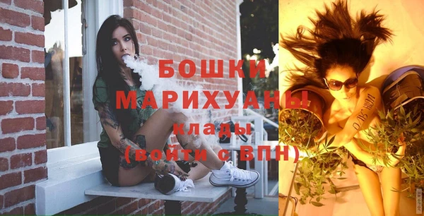 гидра Инсар
