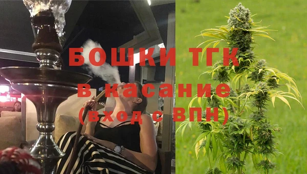 СК Инта
