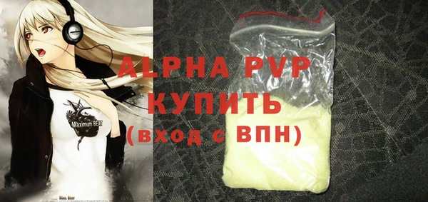 СК Инта