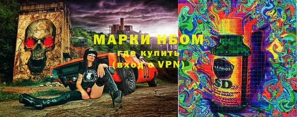 гидра Инсар