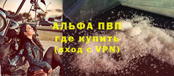 гидра Инсар