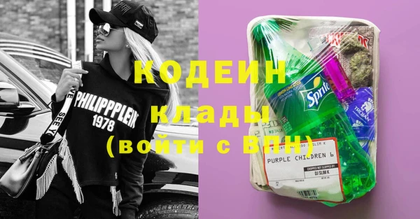 гидра Инсар