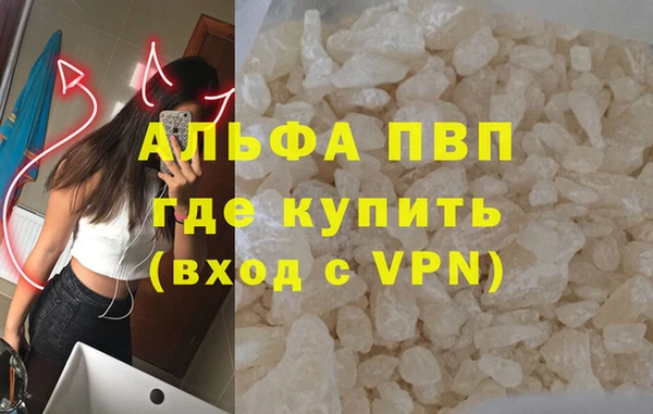 гидра Инсар