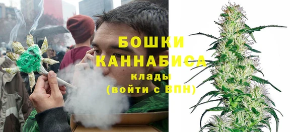 СК Инта