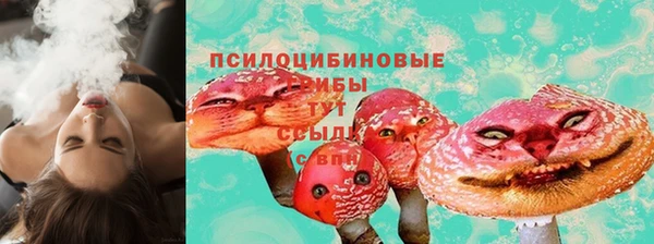 дурь Иннополис