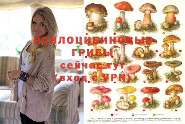дурь Иннополис